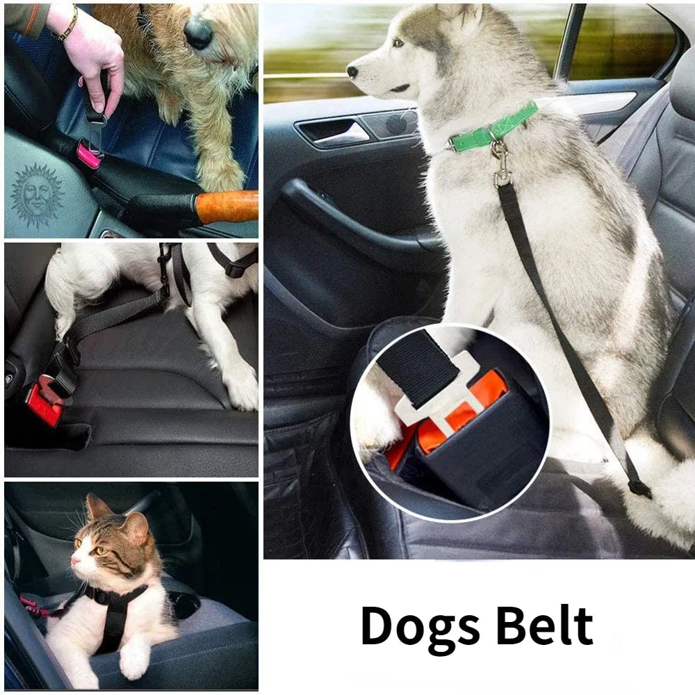 Pet Seatbelt